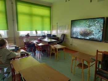 WhatsApp Image 2025-10-09 at 20.43.44.jpeg