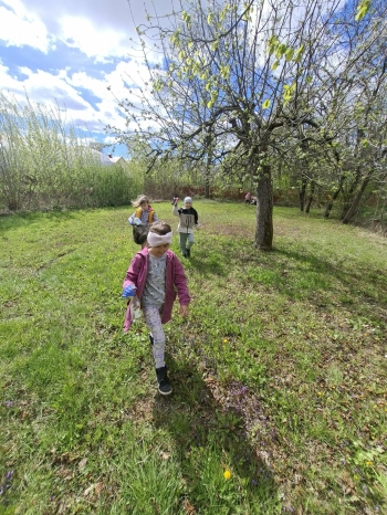 26c84a31-265f-4318-8e22-2b211f366bce