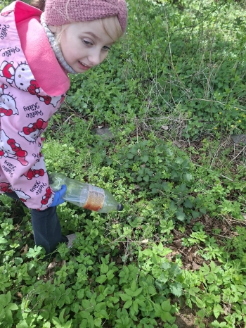 15a5cf4e-9627-4fe8-beaf-d3dc5d9e4013