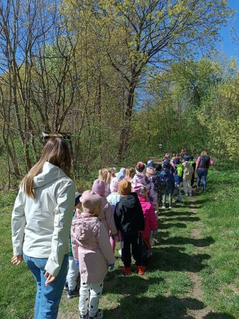 9efad163-742a-4e35-8c0f-df06c6c4a603