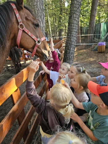 Messenger_creation_DE269112-454F-44F8-86A9-86C8265BFCA1.jpeg