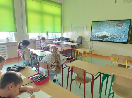 Zajęcia rozwijające z przedmiotów matematyczno - przyrodniczych