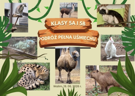 Walim po raz drugi – równie ciekawy!