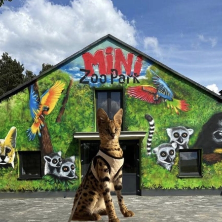 6-latki w Mini Zoo Walim